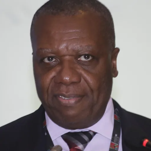 Portrait of Chiedu Osakwe