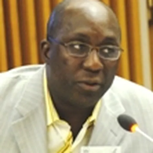 Portrait of Winston Wole Soboyejo