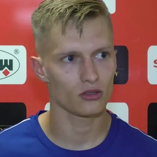 Portrait of Denis Gojko