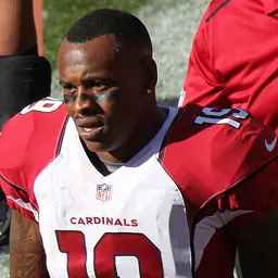 Portrait of Ted Ginn, Jr.