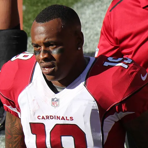 Portrait of Ted Ginn, Jr.
