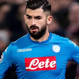 Portrait of Elseid Hisaj
