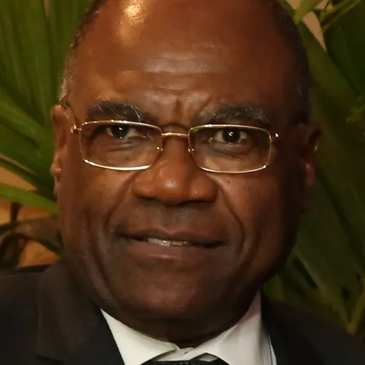 Portrait of Léonard She Okitundu