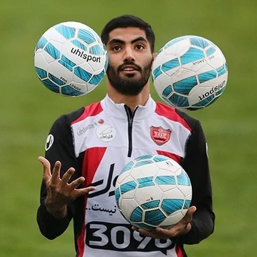 Portrait of Mohammad Ansari