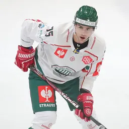 Portrait of Radan Lenc