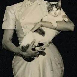 Portrait of Zezé Macedo