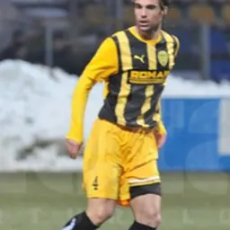 Portrait of Diogo Lézico da Silva