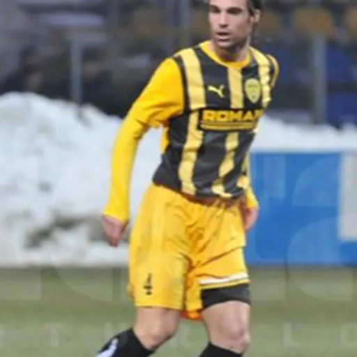 Portrait of Diogo Lézico da Silva