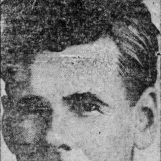 Portrait of A.S. Embree