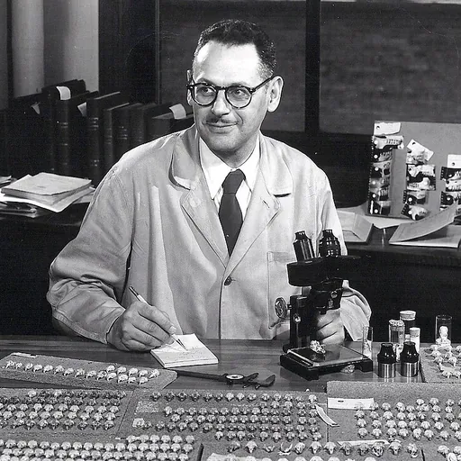Portrait of Philip Hershkovitz