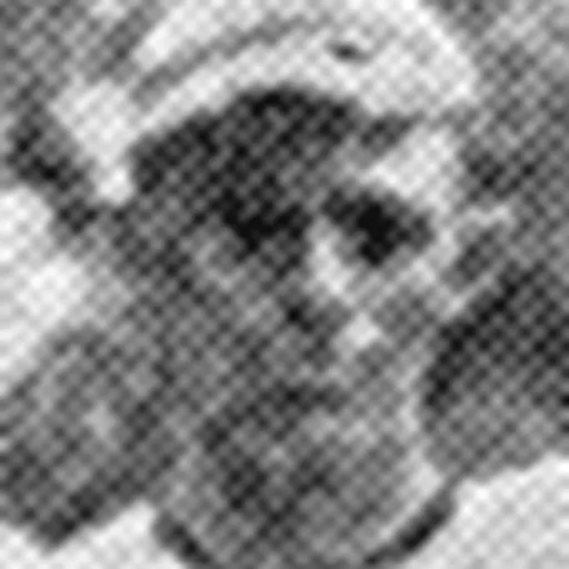 Portrait of Ed Johnson