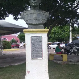Portrait of Firmino Pires Ferreira