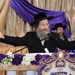 Portrait of Elimelech Biderman