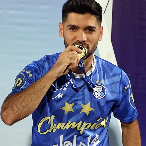 Portrait of Mehdi Mehdipour
