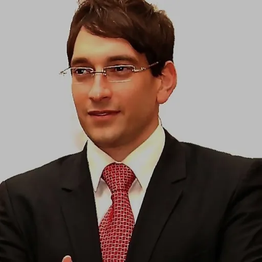 Portrait of Amir Gross Kabiri