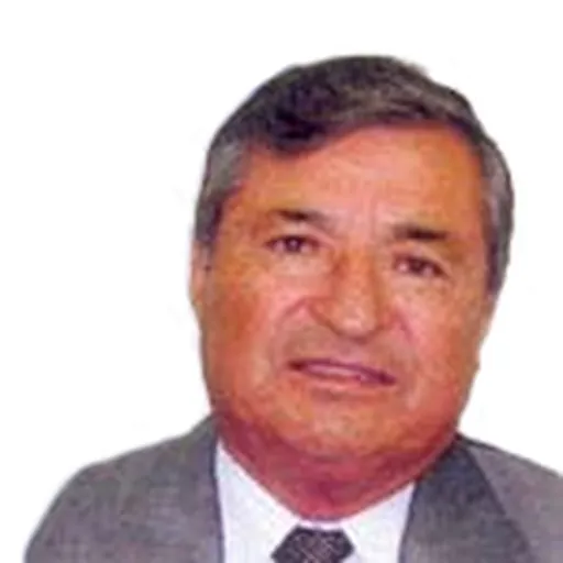 Portrait of Ramón Pérez Opazo