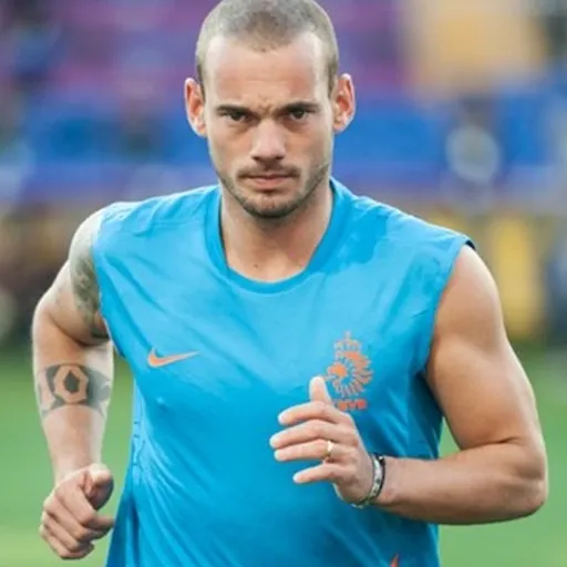 Portrait of Wesley Sneijder