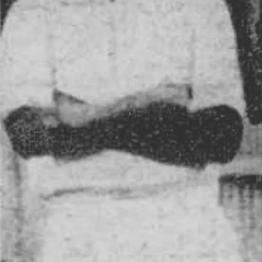 Portrait of Charles Griffith