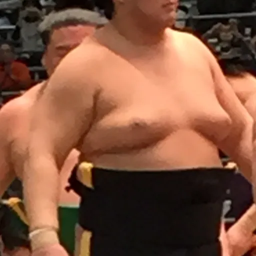 Portrait of Taishi Kagayaki