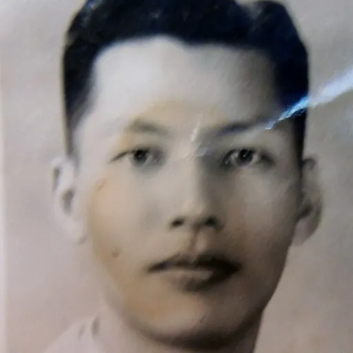 Portrait of Shih Chia-hsin