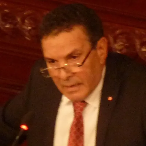 Portrait of Farhat Horchani