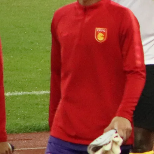 Portrait of Bao Yaxiong