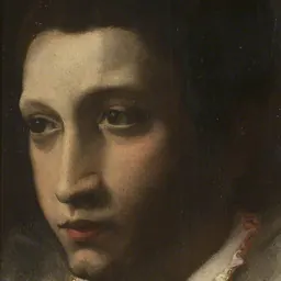 Portrait of Orazio Farnese, Duke of Castro