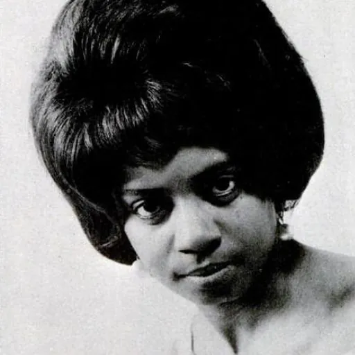 Portrait of Fontella Bass