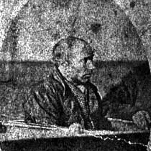 Portrait of John Kewish