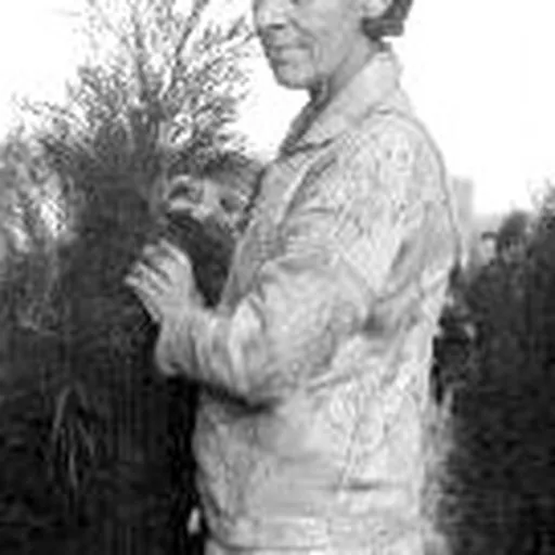 Portrait of Marion Mahony Griffin
