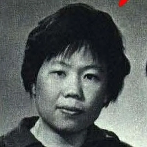 Portrait of Lin Huiqing
