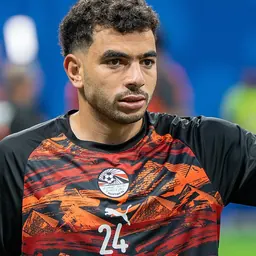 Portrait of Tarek Alaa
