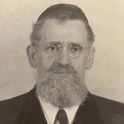 Portrait of Jacob Avigdor