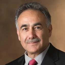 Portrait of Parviz H. Ansari