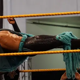 Portrait of Tyler Breeze