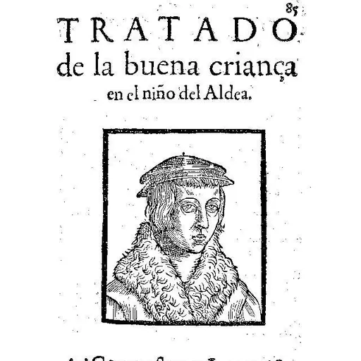 Portrait of Juan Lorenzo Palmireno