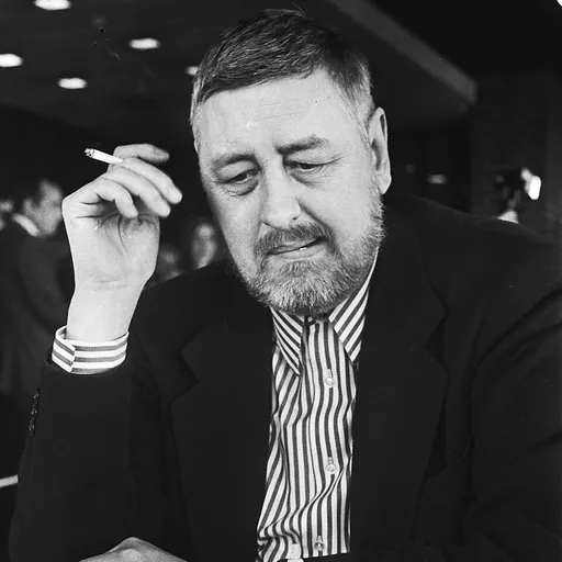 Portrait of Johannes Hendrikus Donner