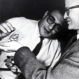 Portrait of Jerome Lettvin