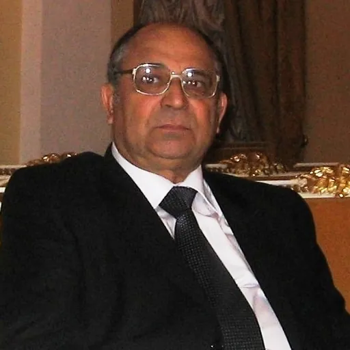 Portrait of Agshin Alizadeh