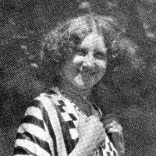 Portrait of Emilie Louise Flöge