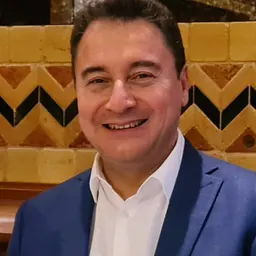Portrait of Ali Babacan