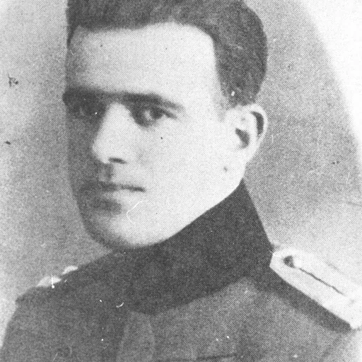 Portrait of Veselin Misita