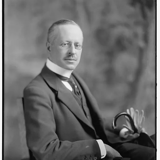 Portrait of Albert Ehrensvärd the Younger