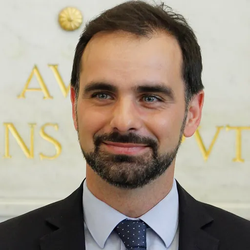 Portrait of Laurent Saint-Martin