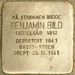 Portrait of Benjamin Bild