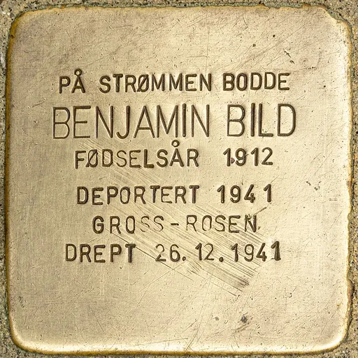 Portrait of Benjamin Bild