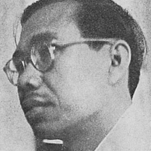 Portrait of Armijn Pane