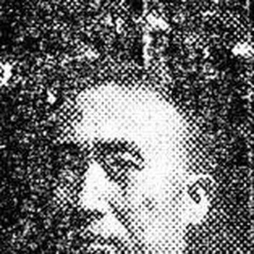 Portrait of Ok Kwan-bin