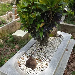 Portrait of Sudirman Arshad
