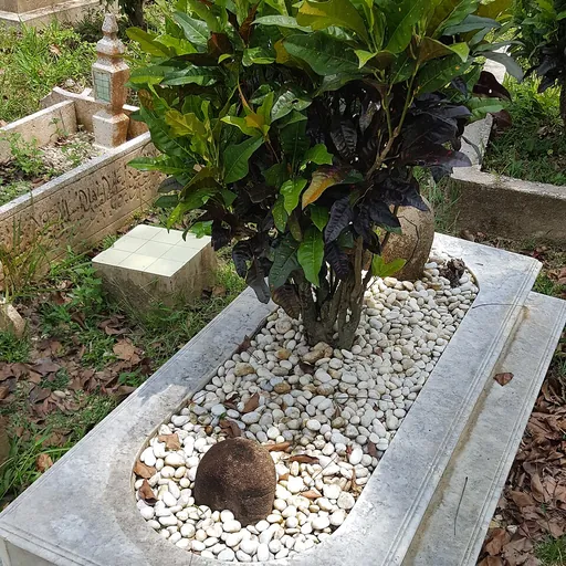 Portrait of Sudirman Arshad